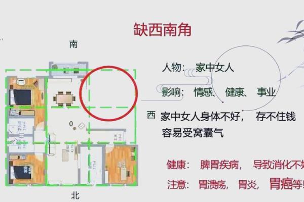 好的家庭风水离不开合理的布局 想要财旺家旺的就赶紧行动起来