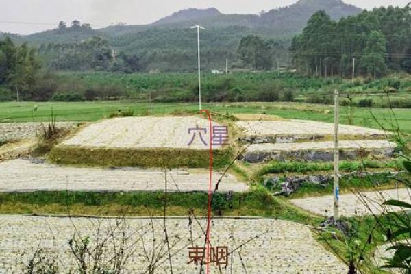 如何看风水农村坟地风水好不好
