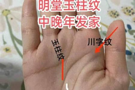 风水手相：川字掌女人的命运是不是不好