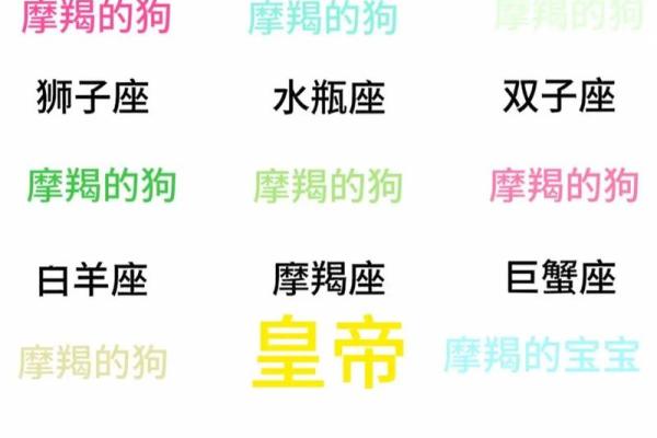 哪个星座可以征服摩羯座女