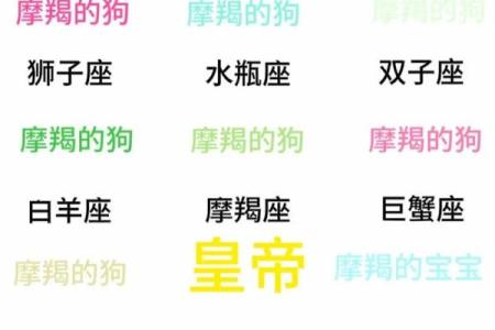 哪个星座可以征服摩羯座女