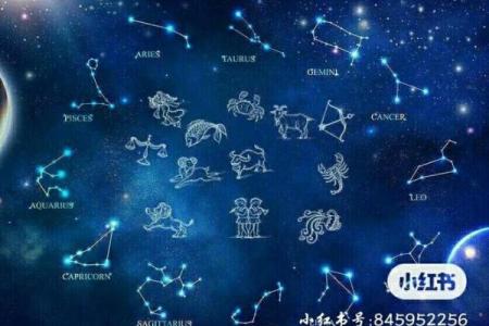 十二星座在哪里买衣服最合适