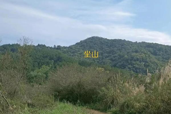 祖坟风水真能影响子孙命运吗