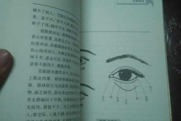 面相风水_更好看的风水小说