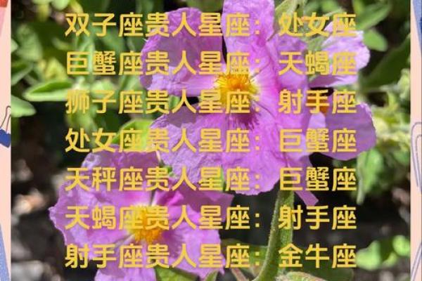 摩羯座配哪个星座最般配呢