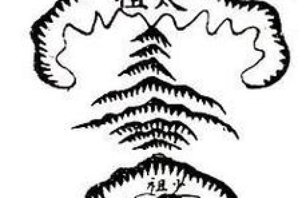 相地风水：坟墓有五种地不可葬