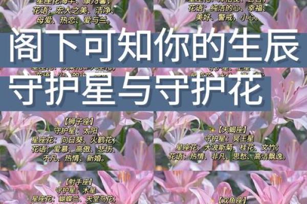 十二星座最适合用什么样的花