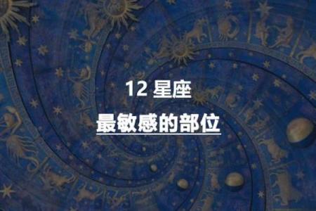 十二星座最诱人部位 哪里最迷人