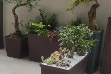 别墅到底建不建围墙好？别墅花园风水注意事项
