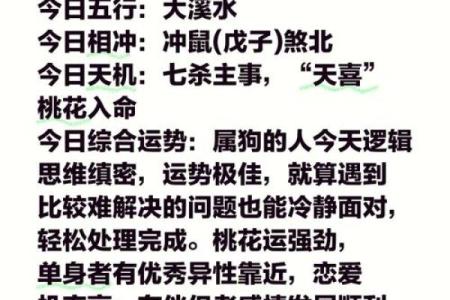 星座女属狗的运势怎样呢