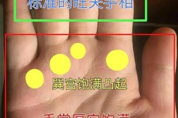 手相算命，对着内容看你的手相