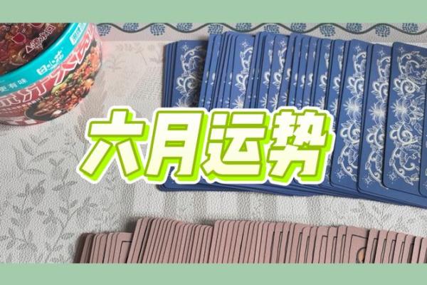 塔罗牌测试六月桃花运