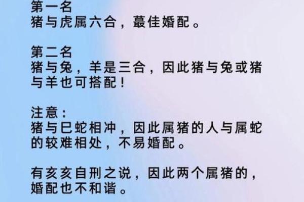 属猪出生最好六个吉日 属猪的出生吉日
