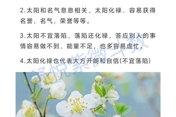 紫微斗数庚干四化是什么意思 紫微斗数庚干四化详解