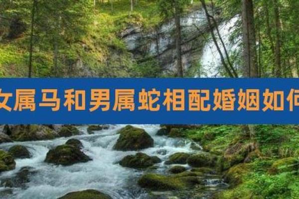 属马和属蛇的人相配吗 属马和属蛇你们配对关系如何