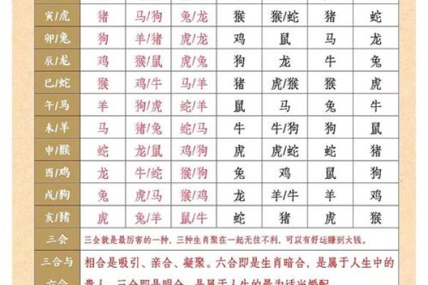 属兔和什么属相最配对 属兔和什么属相相冲