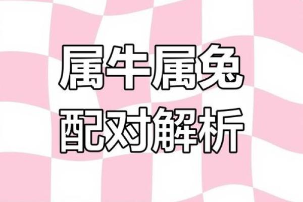 在一起家破人亡的生肖配对