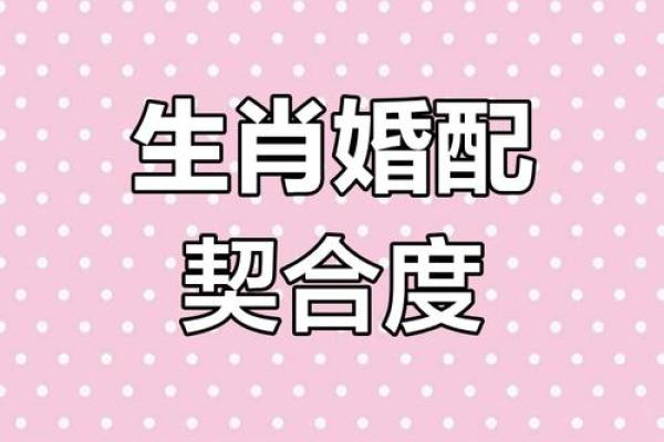 星座姻缘生肖配对