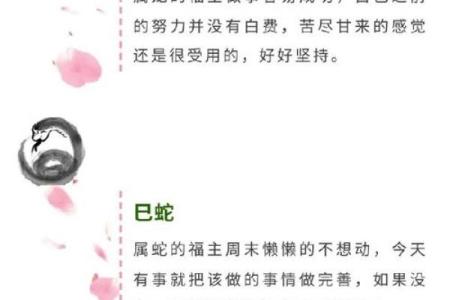 姓名与命运免费测试