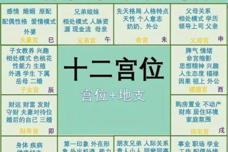 紫薇斗数老年孤独