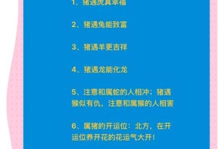 属猪和处女座女配对如何