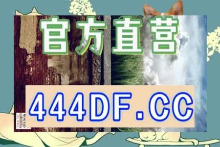 姓名最佳配对 姓名最佳配对查询？