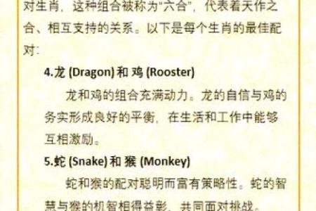 在一起最旺对方的六大生肖配对