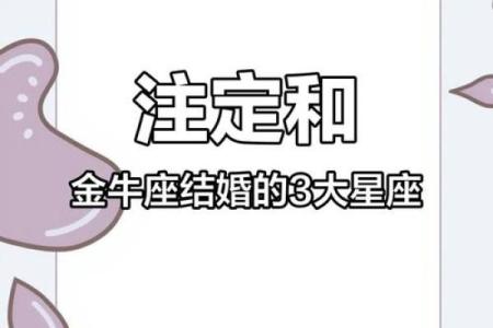 金牛座和什么星座可以结婚吗男生