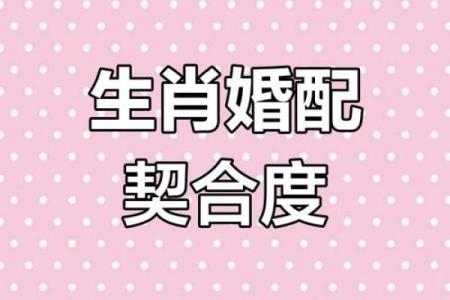 星座姻缘生肖配对