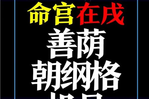 许世英紫薇斗数命盘
