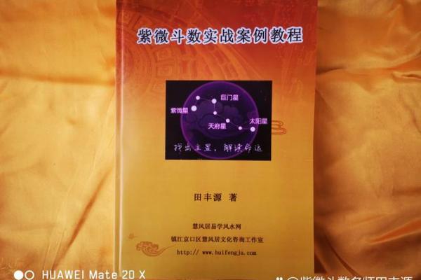 陌元紫薇斗数