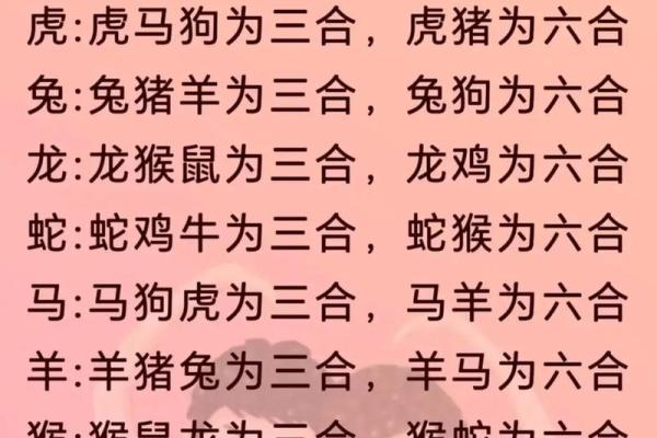 婚姻属相配对大全很准免费 十二生肖婚姻配对表