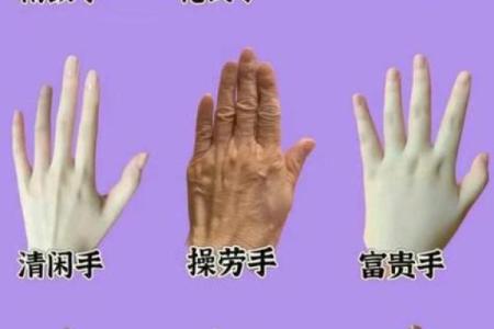 《手相学习百科》：指尖与指节