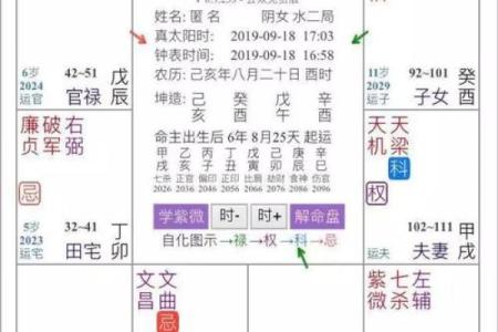 紫云派紫微斗数资料 紫云星是什么意思？