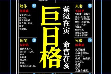 许世英紫薇斗数命盘