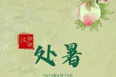 处暑节气前后的民俗是什么 注意食补有方法