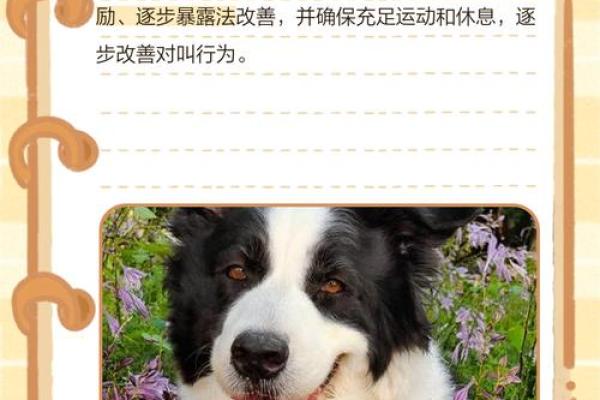 【详解八字合婚狗和狗，看看他们的姻缘指数！】