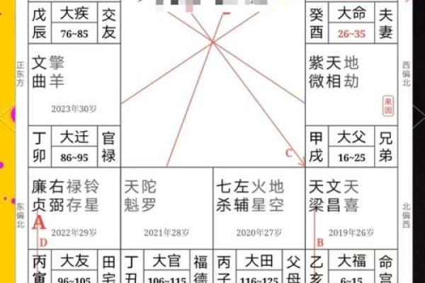 紫薇斗数看性需求