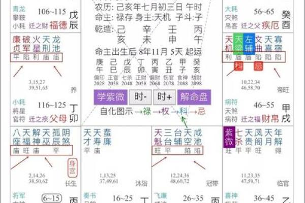 紫薇斗数在线详解
