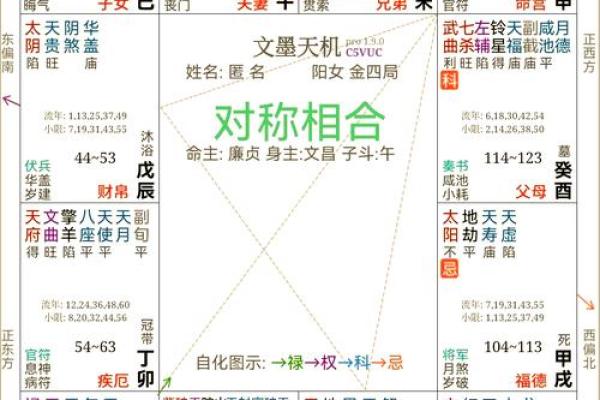 紫薇斗数在线详解