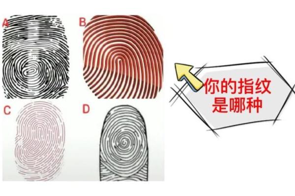 《手相学习百科》：指纹