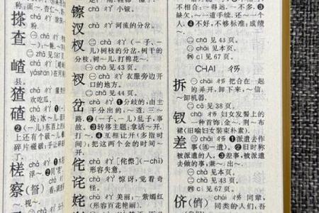 “精字典”：一本收录千万精彩含义的百科全书