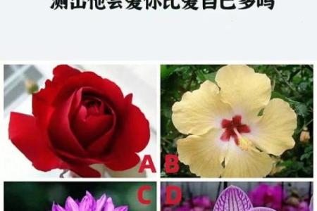 我喜欢他吗心理测试 我会喜欢他吗