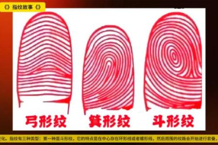 《手相学习百科》：指纹