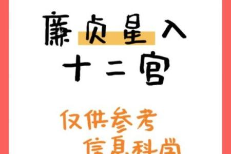 紫微斗数之夫妻宫与诸星，廉贞星在夫妻宫概论