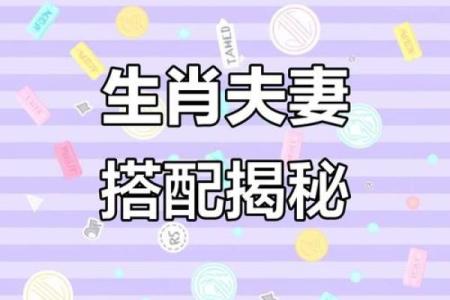 夫妻最好的属相配对
