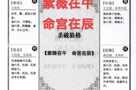 紫薇斗数子女宫在子