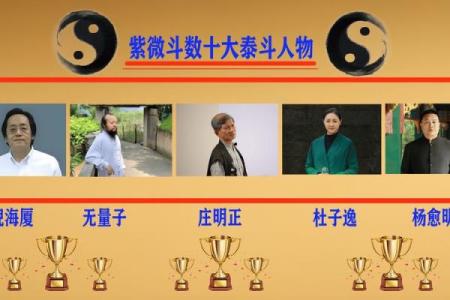 分析赵薇紫薇斗数