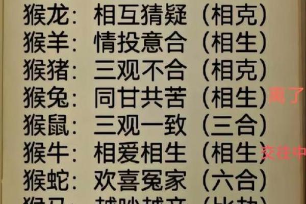生肖属猴和属猪合吗 相合配对指数查询