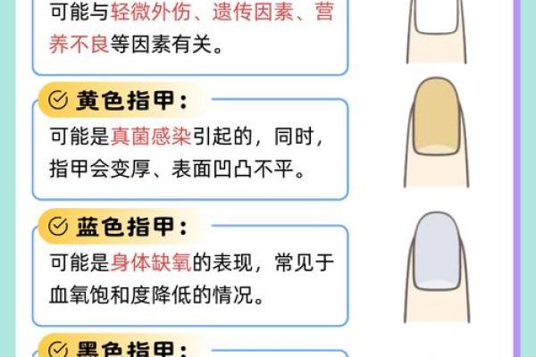 《手相学习百科》：指甲